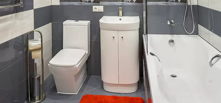Hansgrohe Shaving Mirror Round Rock